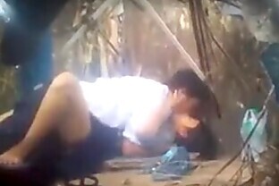asian couple sex in forest