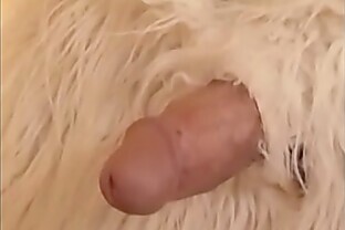 Bizarre Asian Blowjob With Furry Feral Friend