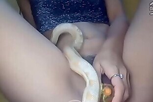 CARROT IN VAGINA