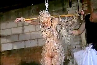 Feathered asian bondage and bizarre japanese domination of tied up Kumimonster