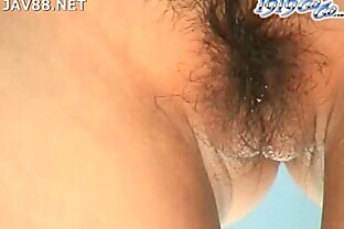 JAV88.NET