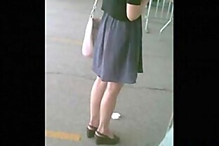 Asian Curly Webcam at Public
